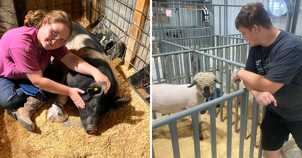 It All Comes Down to Saturday: 4-H and FFA Members Prepare for Livestock Auction