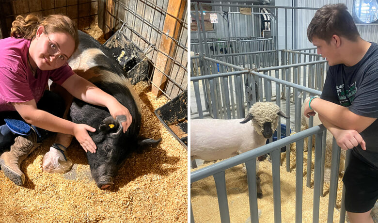 It All Comes Down to Saturday: 4-H and FFA Members Prepare for Livestock Auction