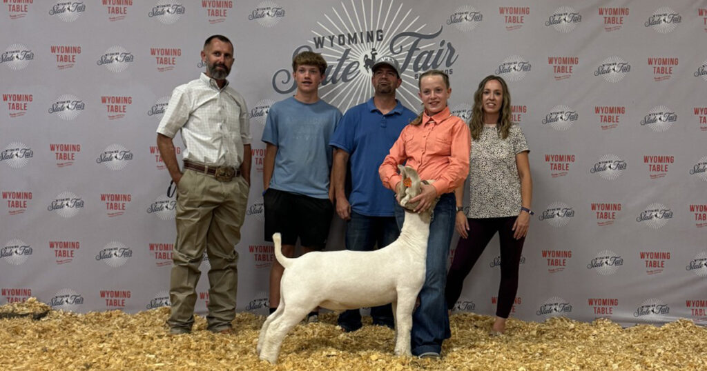 Sweetwater County Wins Big at State Fair