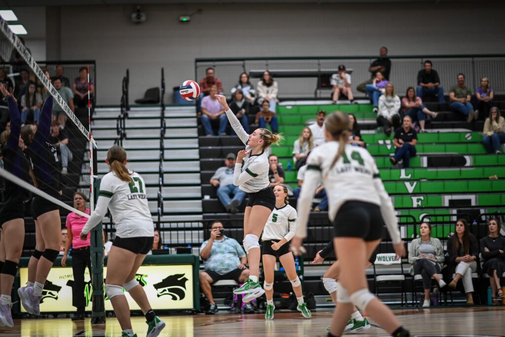 Lady Wolves Triumph Over Mountain View; Lady Tigers Show Grit in Loss to Jackson