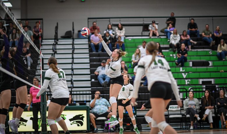 Lady Wolves Triumph Over Mountain View; Lady Tigers Show Grit in Loss to Jackson