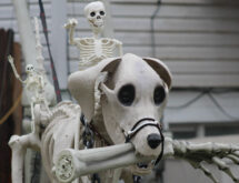 Get Ready To Celebrate Spooktober in Sweetwater County