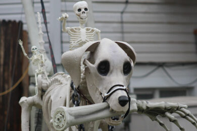Get Ready To Celebrate Spooktober in Sweetwater County
