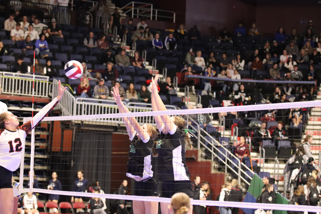 Lady Wolves’ Season Ends in Hard-Fought Loss at State Volleyball Tournament