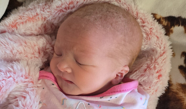 Birth Announcement: Brixley Ellen James Dillon