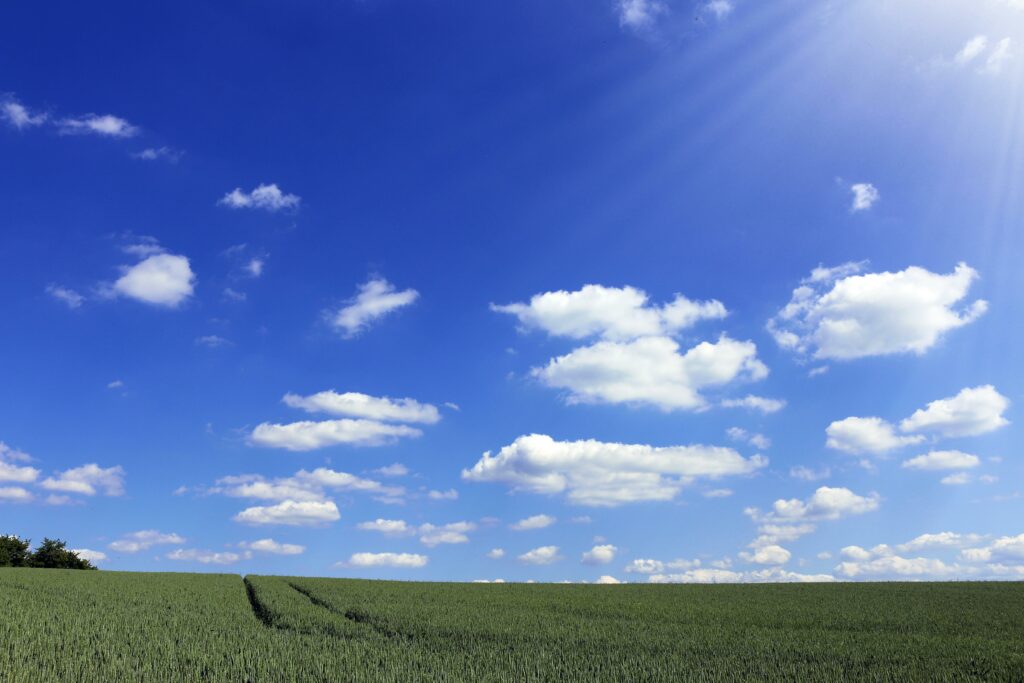 Weather Forecast for Wednesday, November 13, 2024