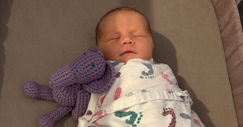 Birth Announcement: Theodosia Spring Allred