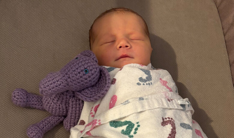 Birth Announcement: Theodosia Spring Allred