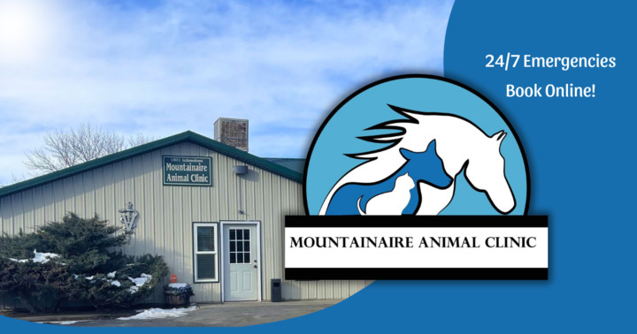 Mountainaire Animal Clinic Helping Pets Since 1979