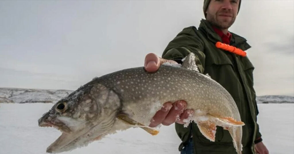 New Regulations Target Small Lake Trout in Flaming Gorge