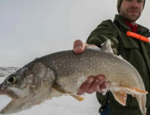 Lake Trout Program Seeks to Balance Flaming Gorge Fish Populations