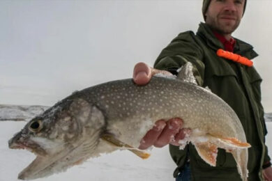 Lake Trout Program Seeks to Balance Flaming Gorge Fish Populations