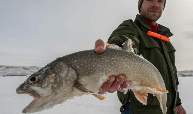 New Regulations Target Small Lake Trout in Flaming Gorge