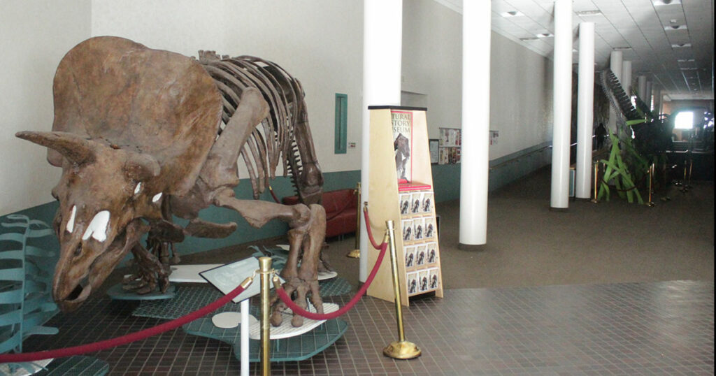 Western Closes Wednesday Due to Power Outage