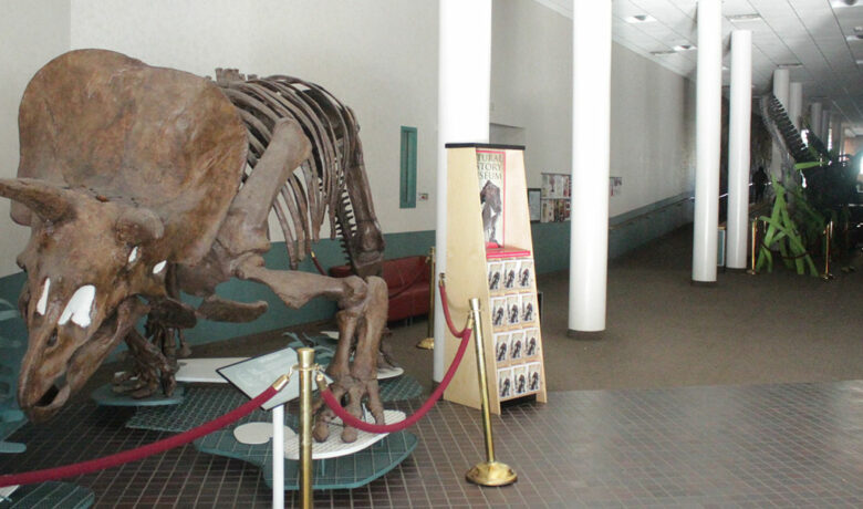 Western Closes Wednesday Due to Power Outage