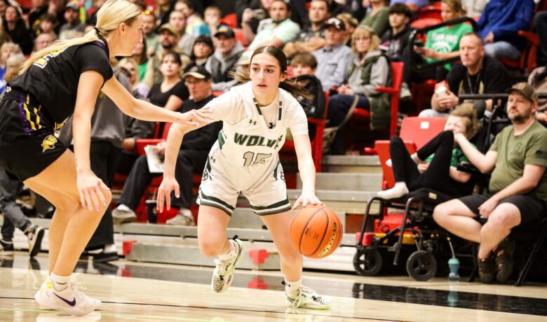 Lady Wolves Fall to Campbell County in State Tournament Opener