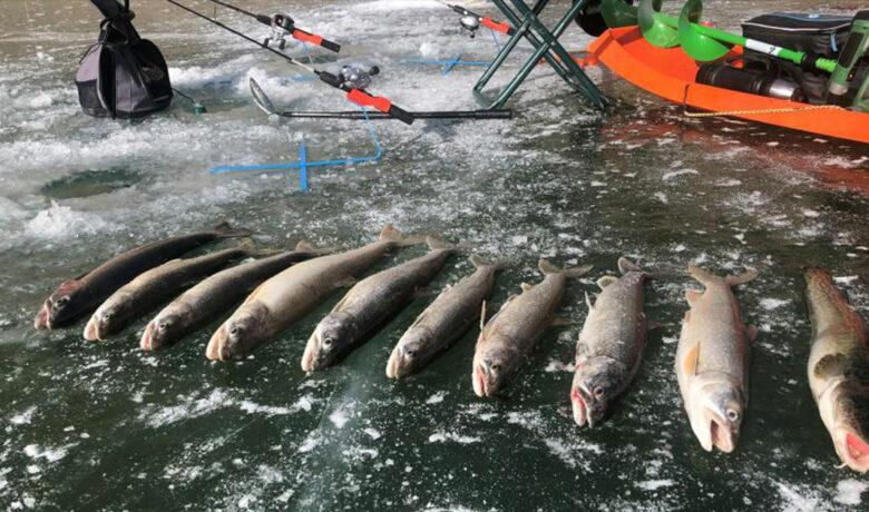 Mac Attack Brings 156 Anglers to Flaming Gorge in February