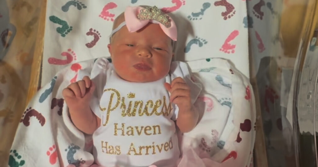 Birth Announcement: Haven Ledger