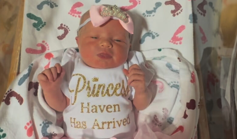 Birth Announcement: Haven Ledger