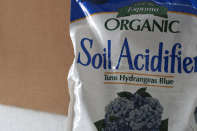Spring Gardener’s Corner: Soil, Soil, and More Soil!