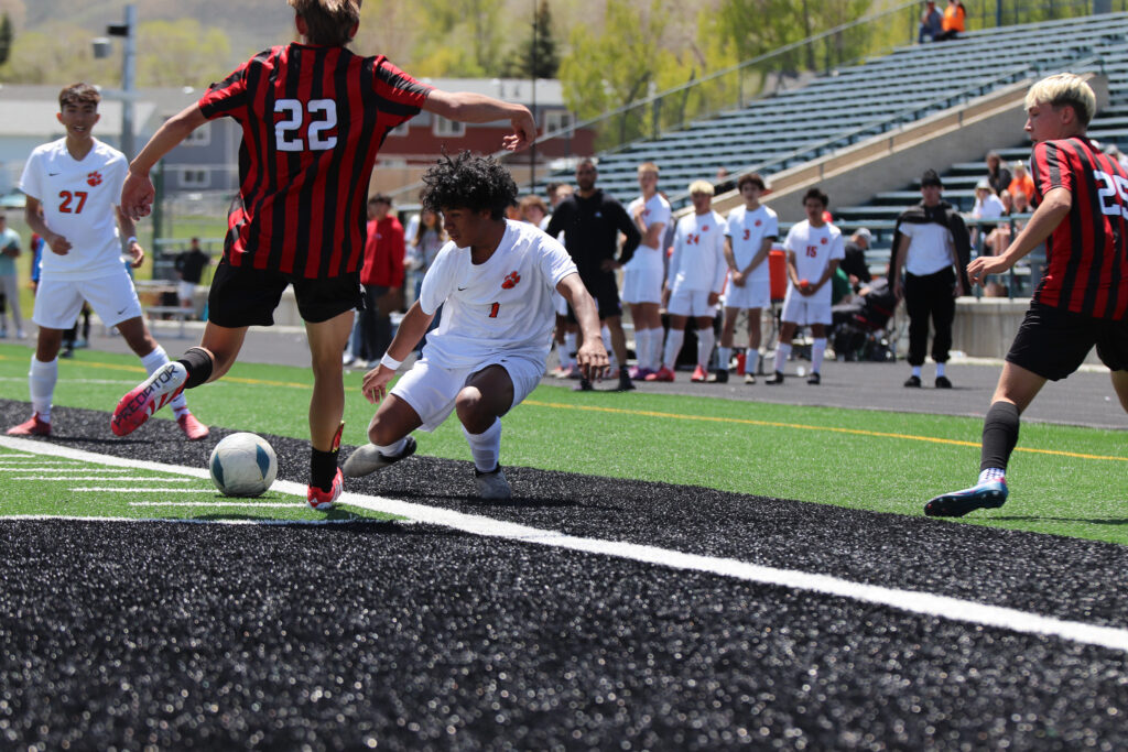 Lady Wolves, Tigers Close Out Regionals, Prepare for State Tournament