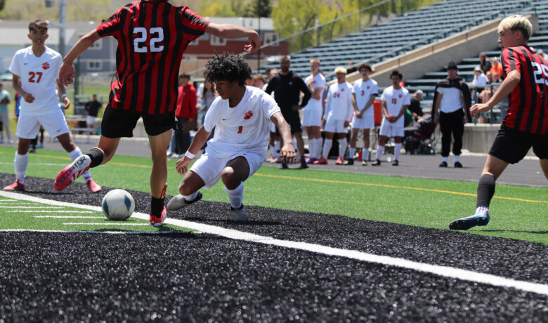 Lady Wolves, Tigers Close Out Regionals, Prepare for State Tournament