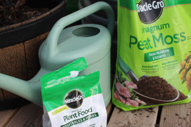 Spring Gardener’s Corner: It’s in the Ground, Now What?