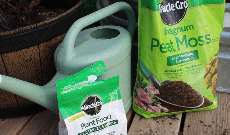 Spring Gardener’s Corner: It’s in the Ground, Now What?