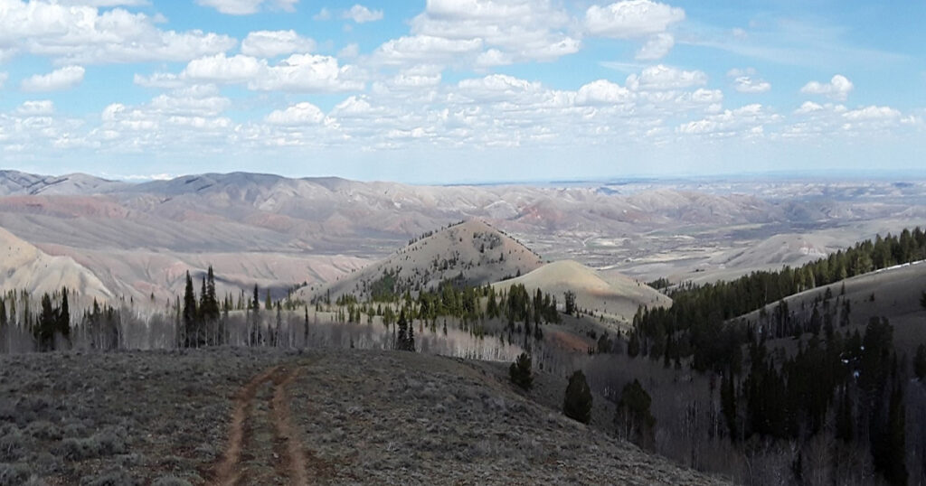 BLM Seeks Input on Proposed Miller Mountain Land Exchange