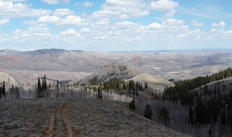 BLM Seeks Input on Proposed Miller Mountain Land Exchange