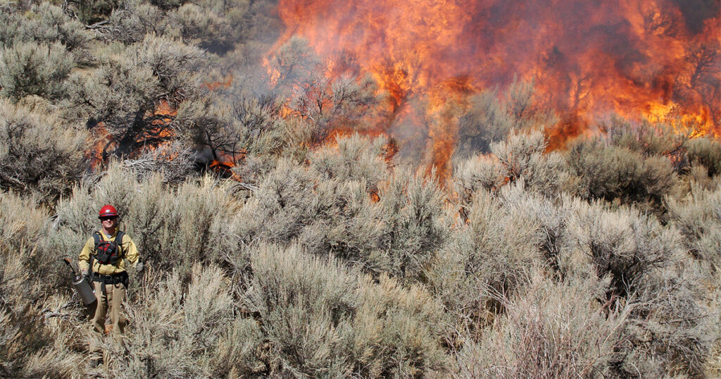 BLM Prescribed Burn In May