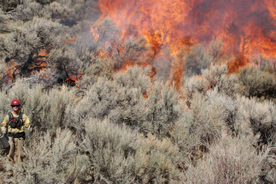BLM Prescribed Burn In May