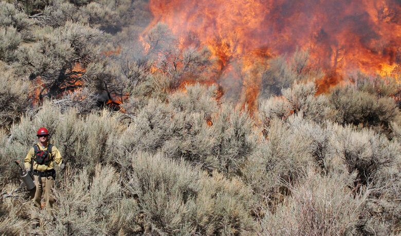 BLM Prescribed Burn In May