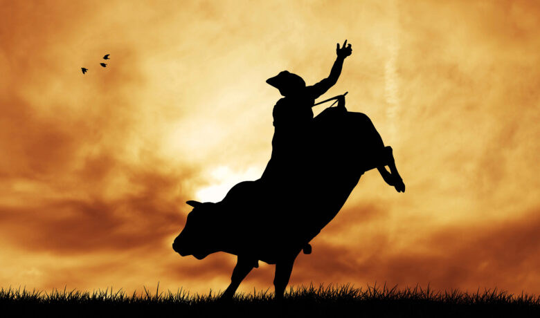 Several Local Athletes Headed to NHSFR After Strong State Rodeo Showings