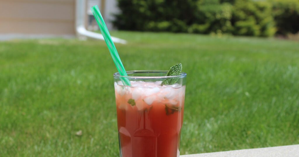 SweetwaterCHOW: A Refreshing Jamaican Buckaroo
