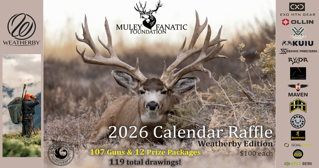 Purchase a 2026 Annual Calendar Raffle