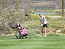 Tigers Lead Sweetwater County Golf in Afton