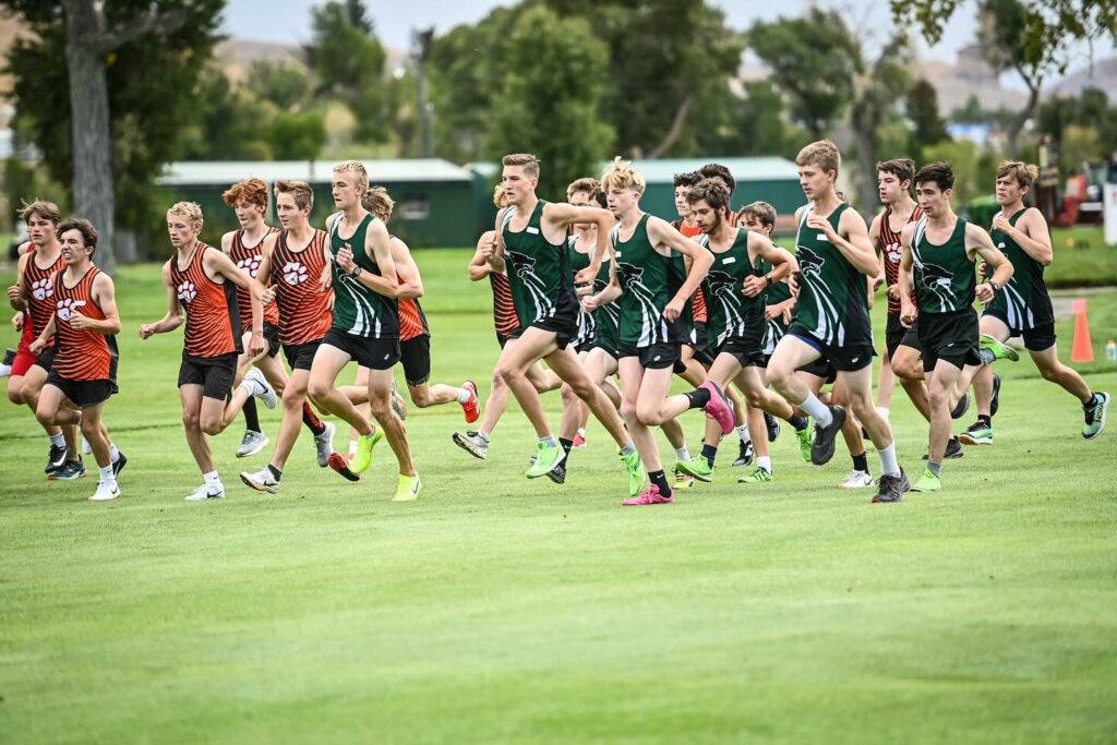 Wheeler Places 3rd as Tigers, Wolves Show Grit at 4A West Regional