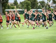 Wolves, Tigers Set for Cross Country Battle