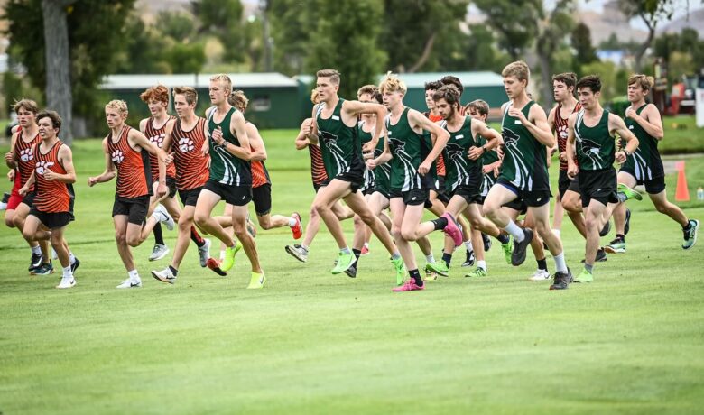 Wheeler Places 3rd as Tigers, Wolves Show Grit at 4A West Regional