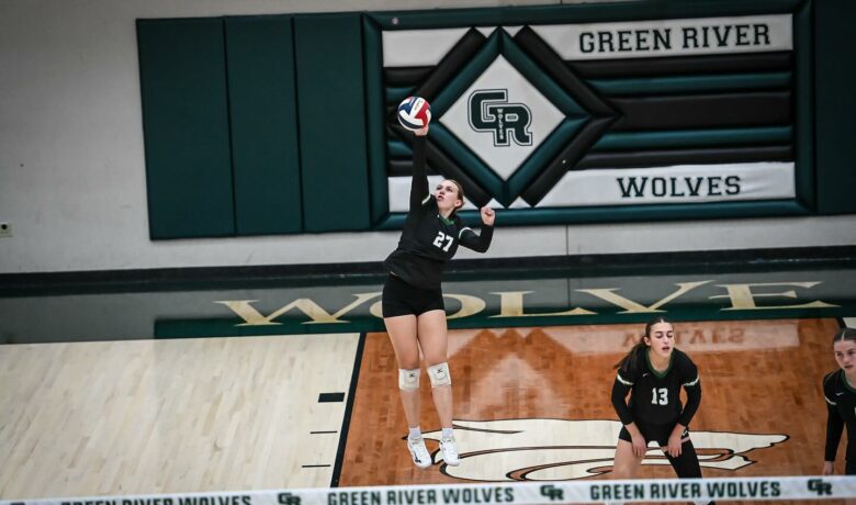 Local Standouts Earn All-State Volleyball Honors