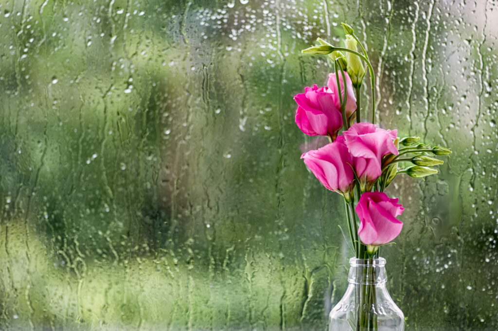 Weather Forecast for Saturday, October 11, 2025