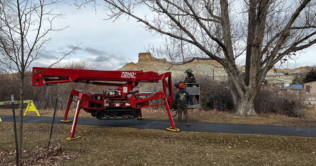 Green River Receives $89,000 Grant for Tree Care and Revitalization Project
