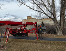 Green River Tree Revitalization Project Completed