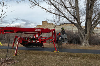 Green River Receives $89,000 Grant for Tree Care and Revitalization Project
