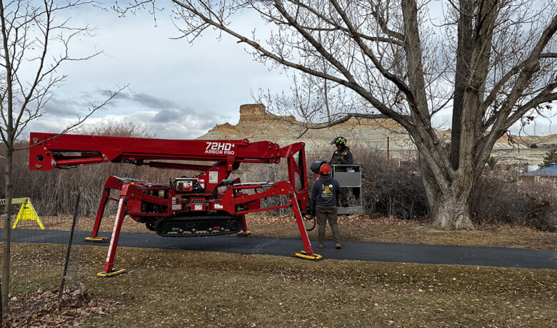 Green River Receives $89,000 Grant for Tree Care and Revitalization Project