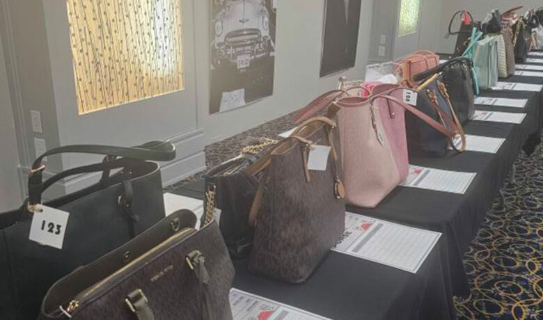 Power of the Purse Handed Over to YWCA