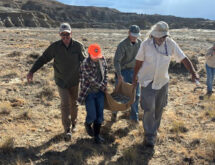 11-Year-Old Rockhound Discovers Turtle Fossil on BLM Land