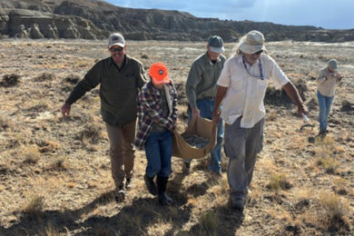11-Year-Old Rockhound Discovers Turtle Fossil on BLM Land