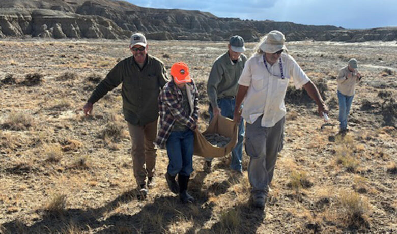 11-Year-Old Rockhound Discovers Turtle Fossil on BLM Land